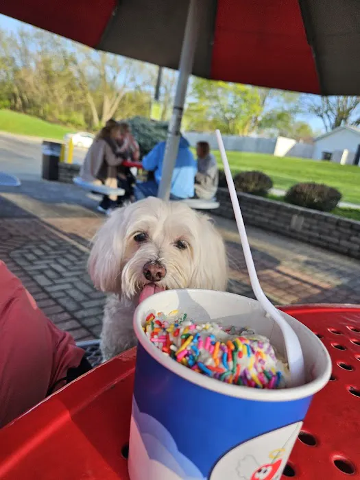 Almost Heaven Ice Cream Picture 9
