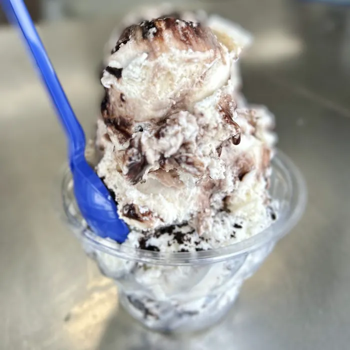 Handel's Homemade Ice Cream Twinsburg Picture 2