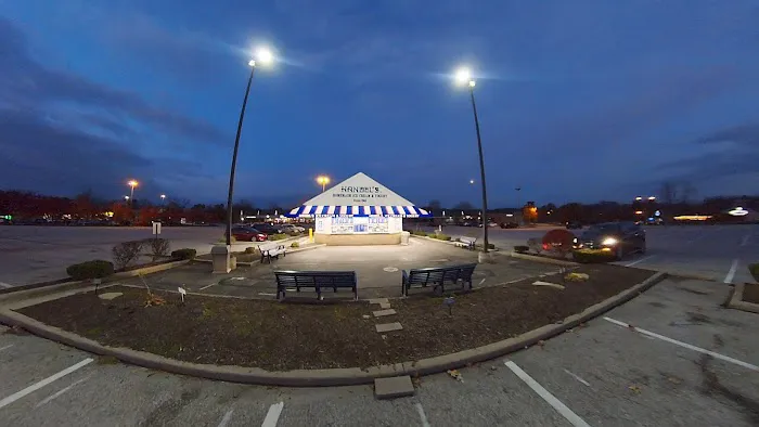 Handel's Homemade Ice Cream Twinsburg Picture 6
