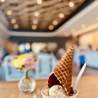 Mitchell's Ice Cream (Solon Shop) ico
