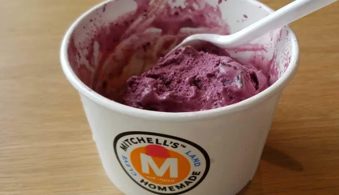 Mitchell's Ice Cream (Solon Shop) Picture 10