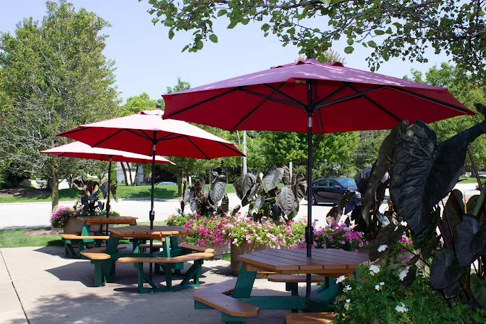 Honey Hut Ice Cream Picture 6