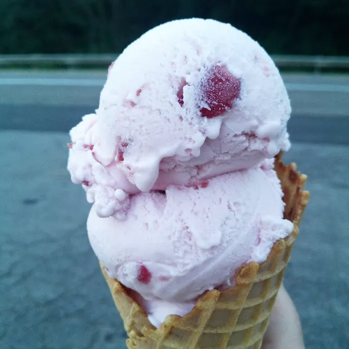 Kensington Dairy Bar Picture 8