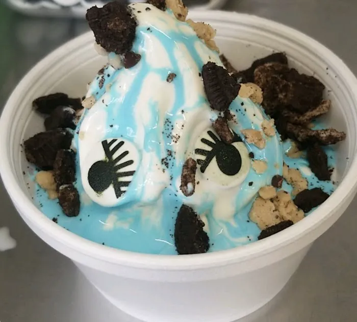 Frostee Shoppe Picture 6