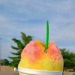 Sno Biz