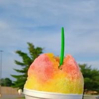 Sno Biz ico