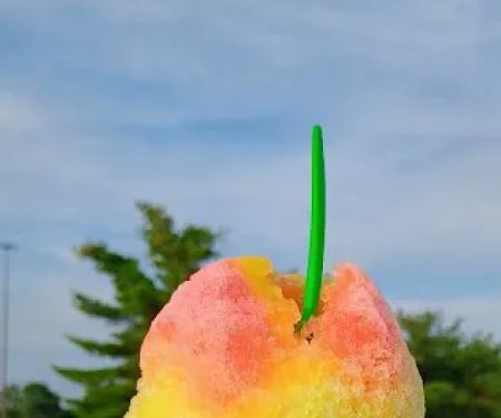 Sno Biz