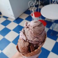 The Dipper ico
