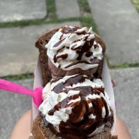 Mason's Creamery ico