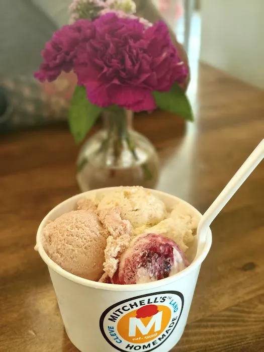 Mitchell's Ice Cream (Ohio City Kitchen & Shop) Picture 4