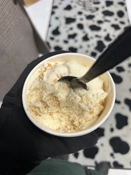 Pammy’s Ice Cream Picture 5