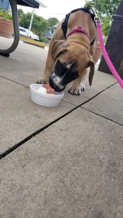 New Baltimore Homemade Ice Cream Picture 10