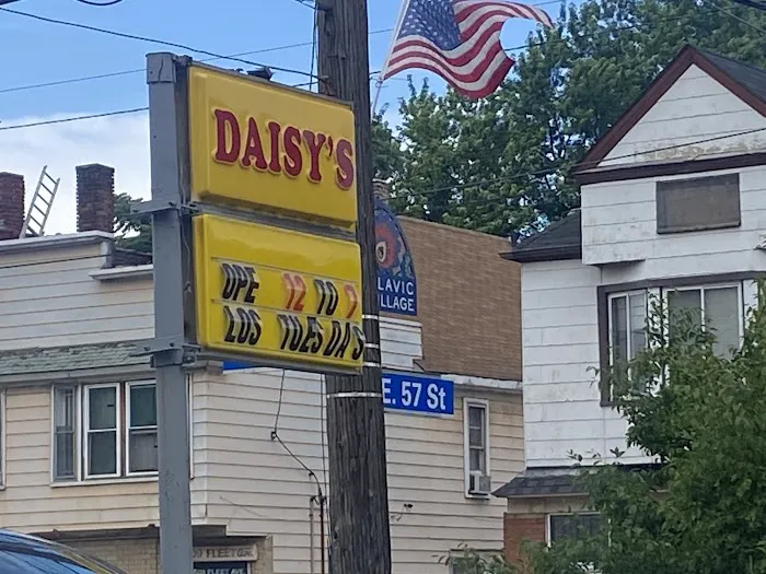 Daisy's Picture 5