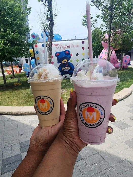 Mitchell's Ice Cream (Van Aken District) Picture 4