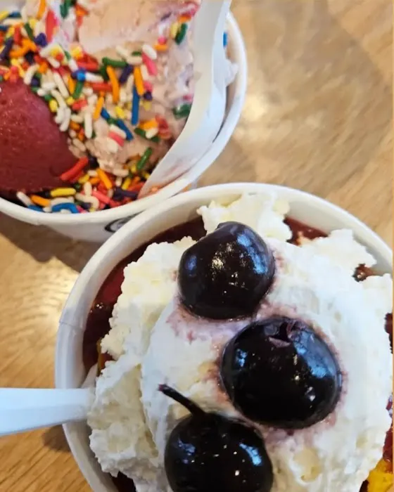 Mitchell's Ice Cream (Van Aken District) Picture 3