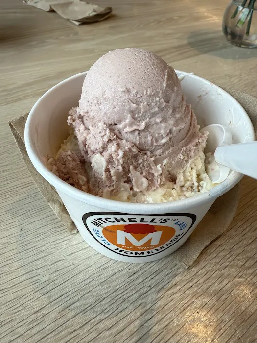 Mitchell's Ice Cream (Beachwood Shop) Picture 1