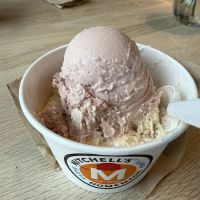 Mitchell's Ice Cream (Beachwood Shop) ico