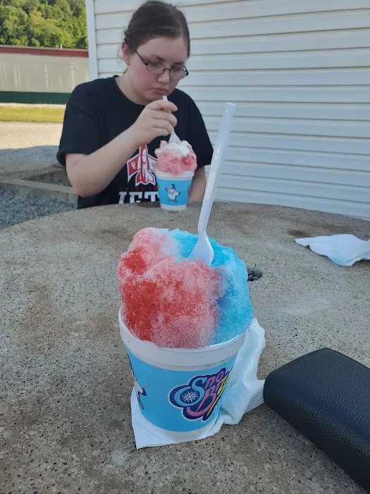 Sno-Biz Picture 3