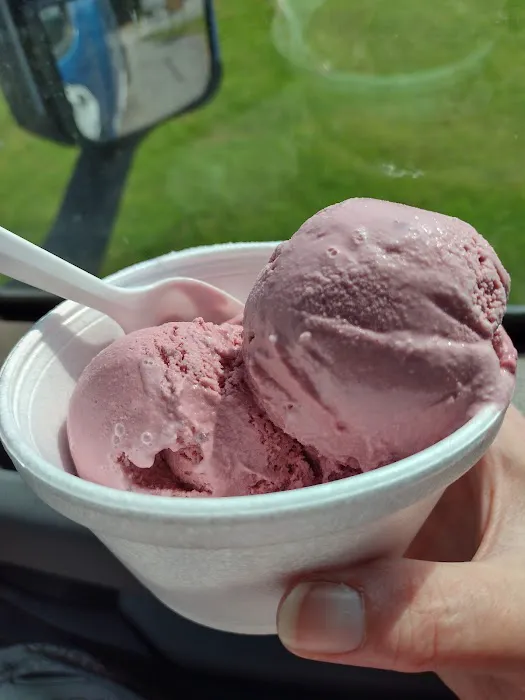 Yummy’s Homemade Ice Cream Picture 2