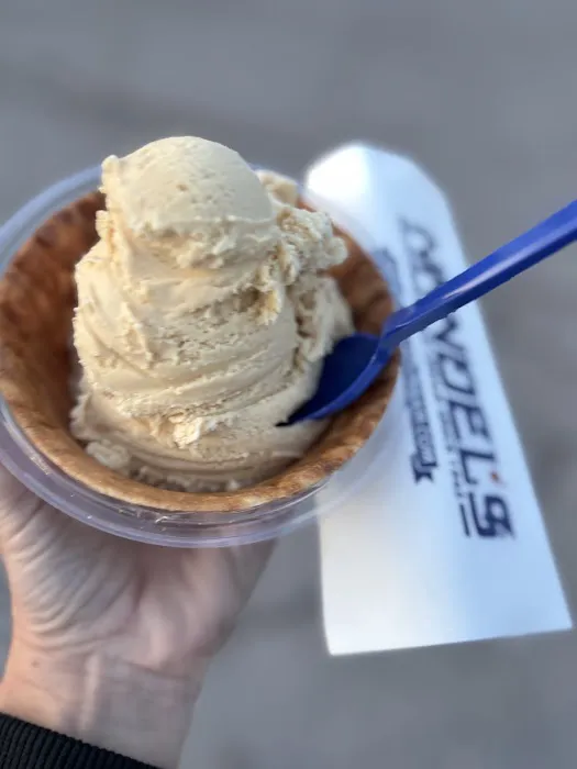 Handel's Homemade Ice Cream Columbiana Picture 1