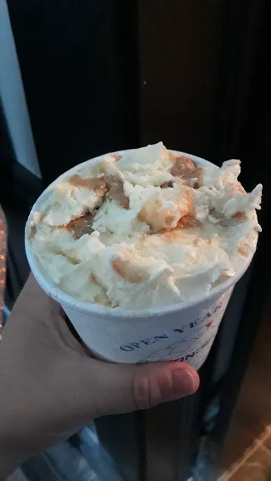Handel's Homemade Ice Cream Columbiana Picture 8