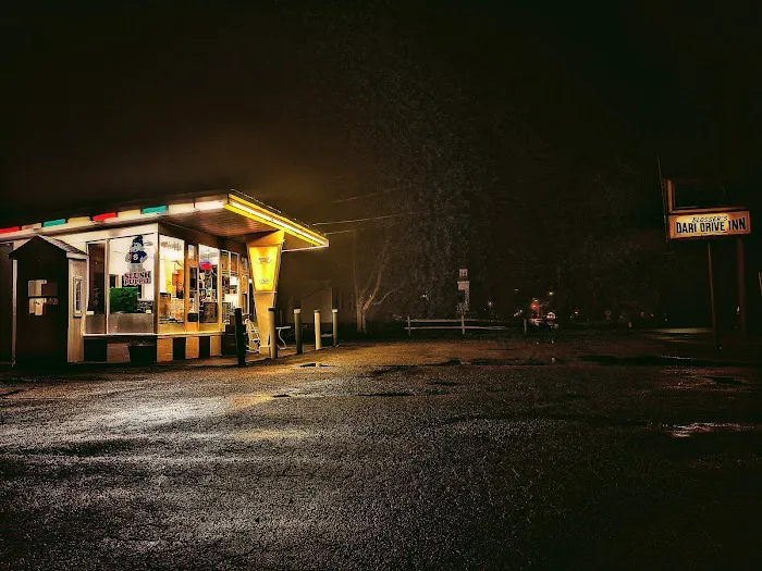 Blossers Dari Drive Inn Picture 8