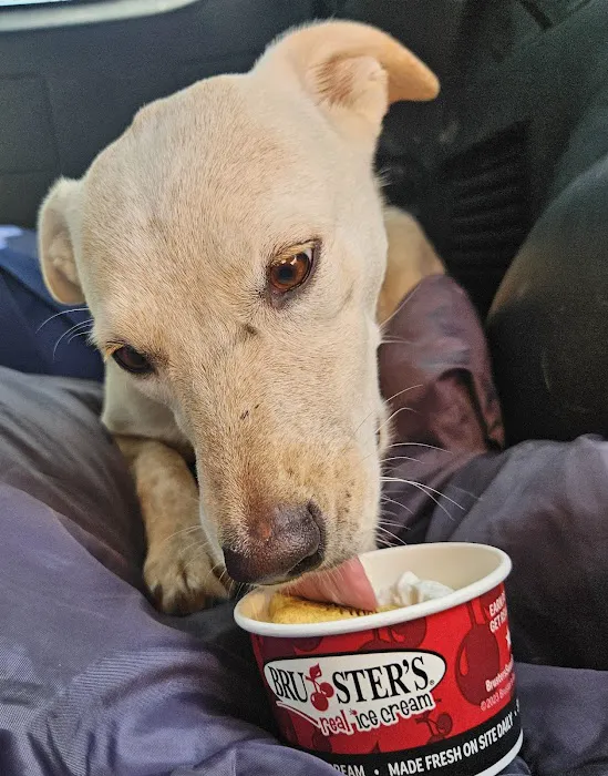 Bruster's Real Ice Cream Picture 9
