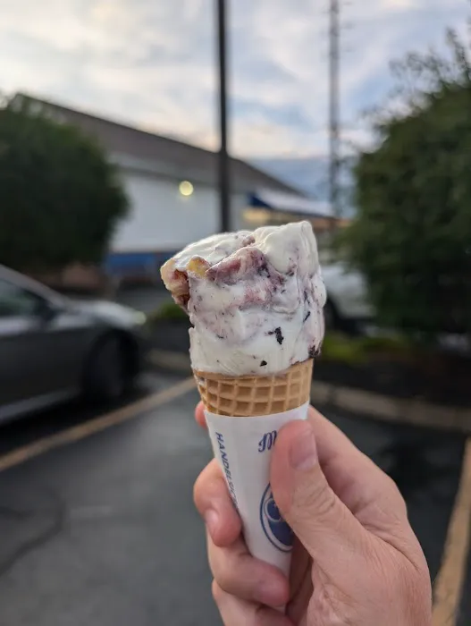 Handel's Ice Cream Canfield Ohio Picture 4