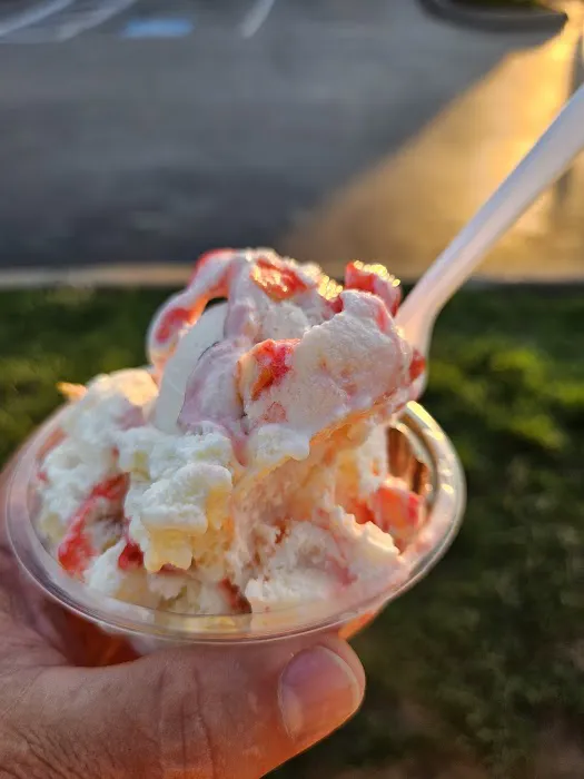 Handel's Ice Cream Canfield Ohio Picture 8