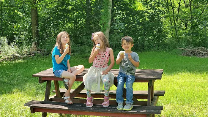 RJT Ice Cream Picture 3