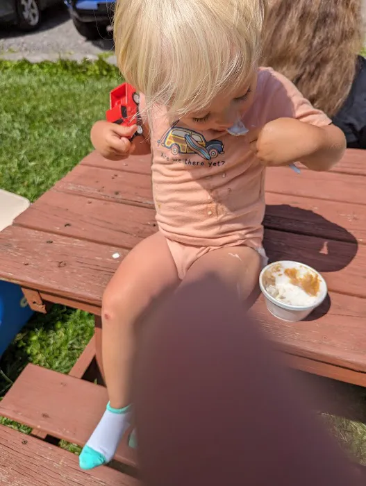 RJT Ice Cream Picture 5