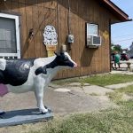 Udderly Sweet Treats