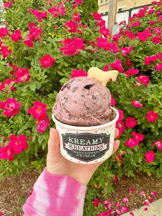 Kreamy Kreations Hand-Dipped Ice Cream Picture 4