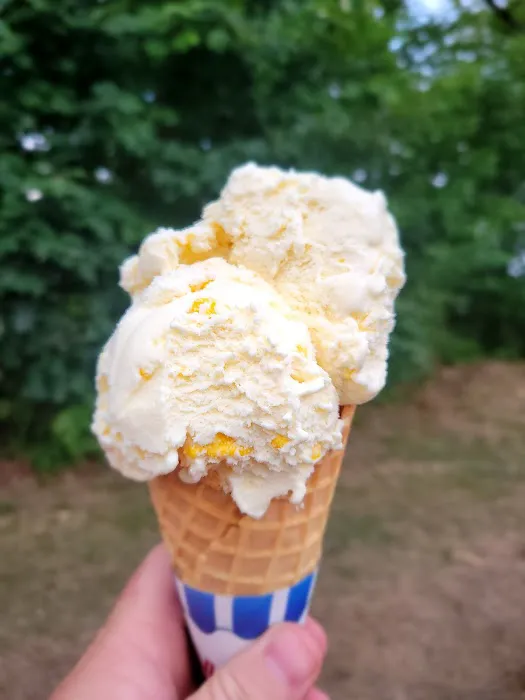Scoops Food Truck Picture 2