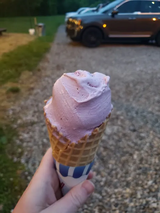 Scoops Food Truck Picture 1
