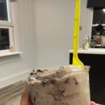The Main Scoop