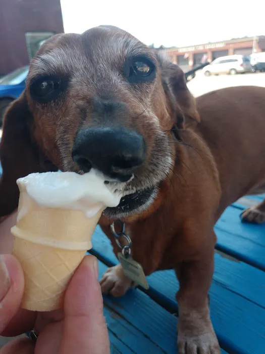 Briq's Soft Serve @ Jet's Dairy Bar Picture 5