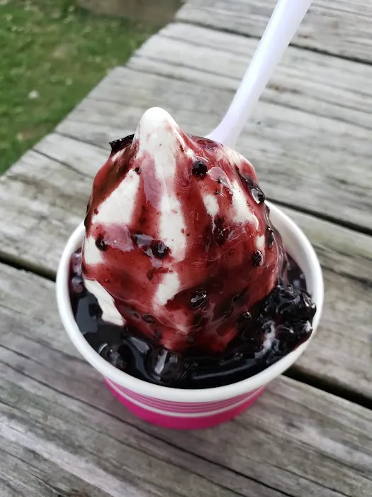 Ice Cream Shoppe Picture 8