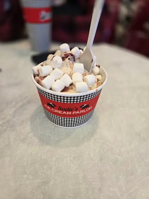 Sadie's Ice Cream Parlor Picture 10