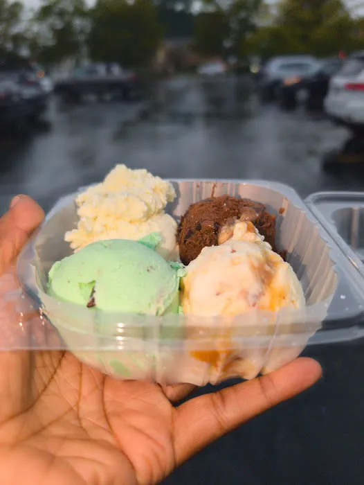 Handel's Homemade Ice Cream Picture 1