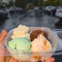 Handel's Homemade Ice Cream ico