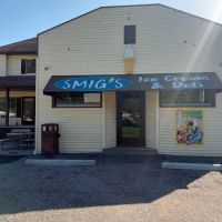 Smig’s LLC ico