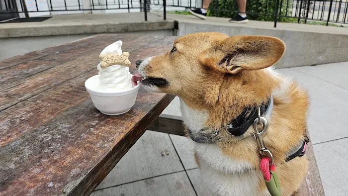 M.A.'s Ice Cream Shop Picture 5