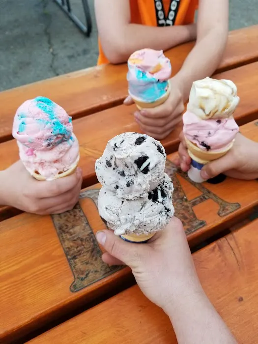 Jesy’s Dairy Cove Picture 7