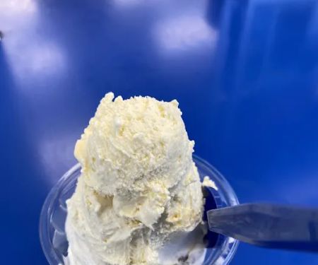 Handel's Ice Cream Youngstown Ohio