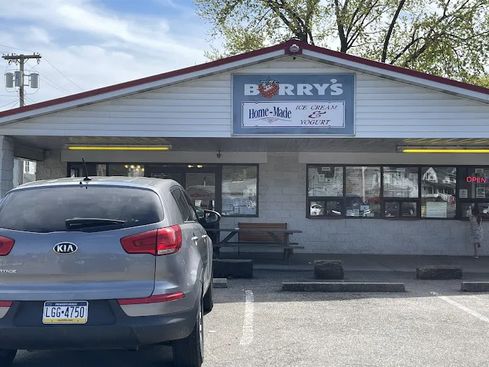 Barry's Ice Cream Picture 2