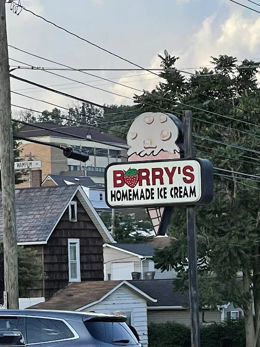 Barry's Ice Cream Picture 9