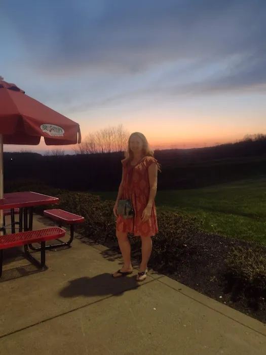 Bruster's Real Ice Cream Picture 5