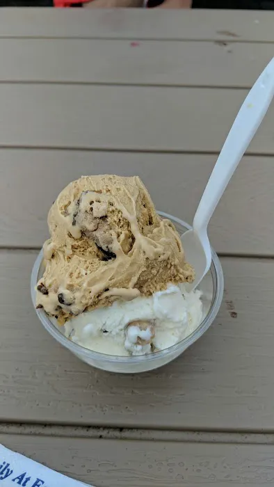 Handel's Homemade Ice Cream Niles Picture 5
