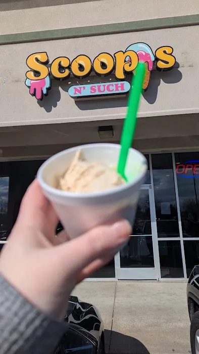 Scoops N Such Ice Cream Picture 4